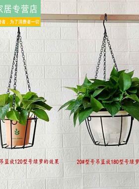 铁艺垂吊挂篮花盆架悬挂式吊篮吊兰盆花架阳台吊盆架子简易挂架