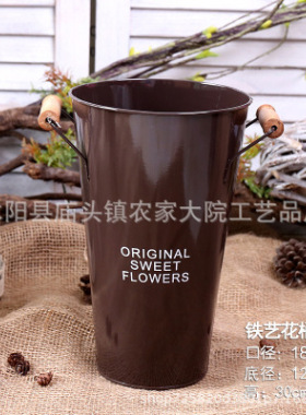 鲜花鲜花养花干花花盆装饰摆件