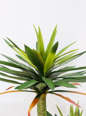 仿生地植剑物麻树盆北欧jw102风家居仿真绿植剑兰落装饰假荷栽兰