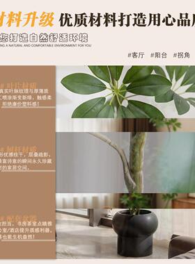 彷真绿色植物高端轻奢彷生鸭脚木室内客厅沙发边大型盆栽落地假植