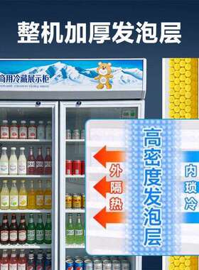 商用冷藏展示柜饮料啤酒冷冻保鲜柜蔬菜水果立式冰柜双门冰箱