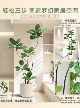 彷真绿色植物黑金刚橡皮树高端轻奢客厅摆件大型落地风假植物卧室