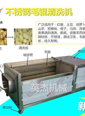 土豆毛辊清洗机红薯芋头U型毛辊清洗机全自动出料清洗设备