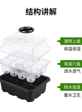 严选育苗育苗园艺养护专用花瓶
