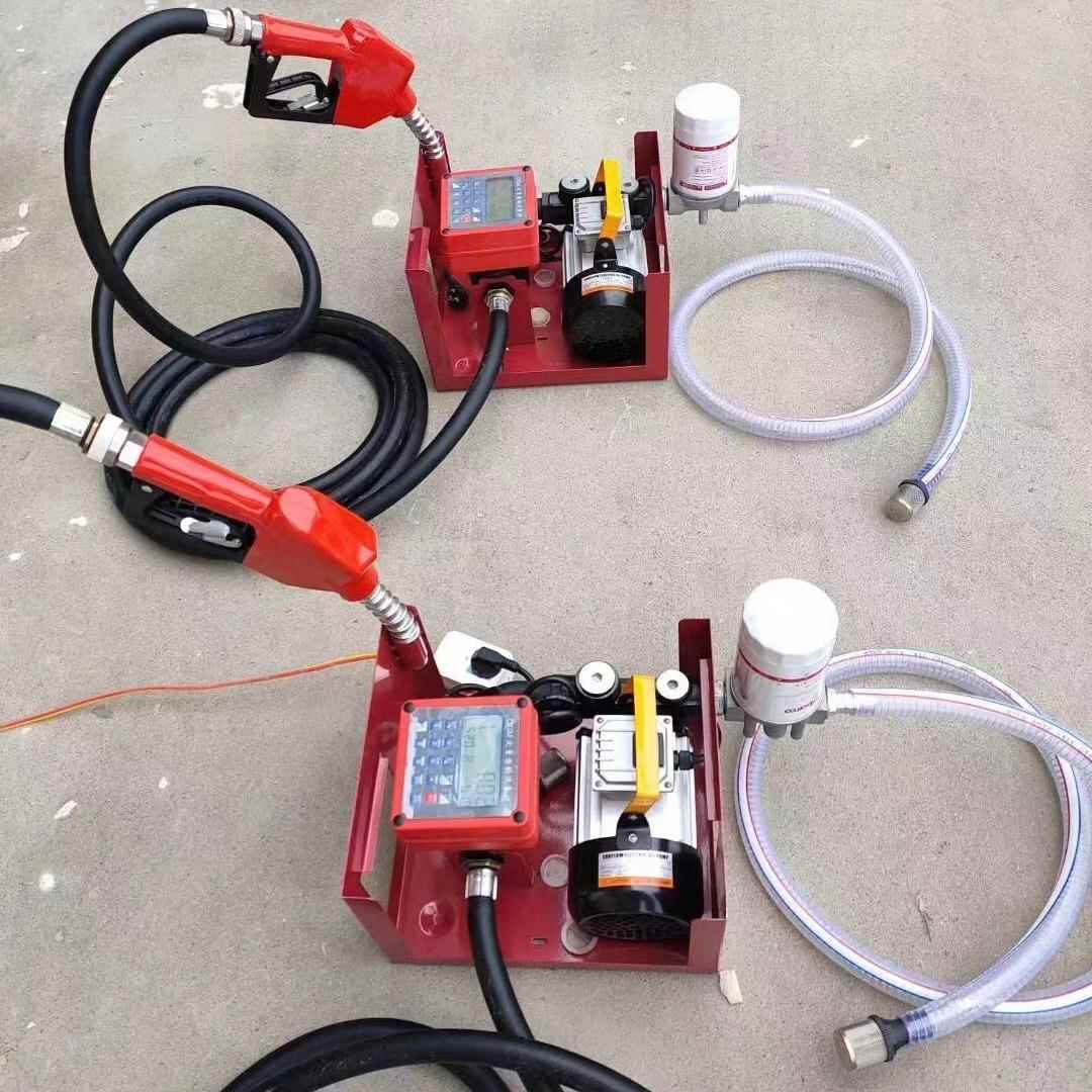 总成ACFD60B电子定量计价加油泵总成电动抽油泵12V24V220V加油机 - 图2