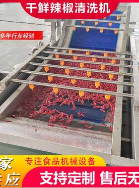 商用西蓝花去农残气泡清洗机多功能鱼皮气泡清洗线海带清洗机设备