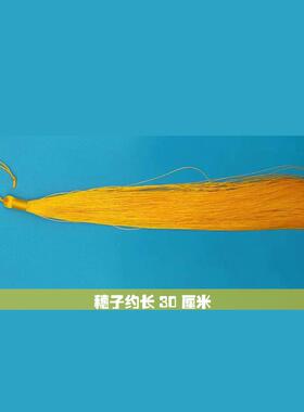 剧目锦典瑟舞蹈扇子团扇双面刺绣BQW圆童柄长15厘米成古风走秀人