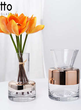 水培艺术透明玫瑰萝绿金养花欧风摆件家居装饰北摆件玻璃批发花瓶