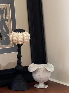 老中古钱风贝壳意装饰摆件样板ES-A6464间酒店书房书桌书柜创海螺