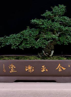 石吸水托盘紫砂水培陶瓷花盘浅盆长方形盆景假山盆吸水石盆