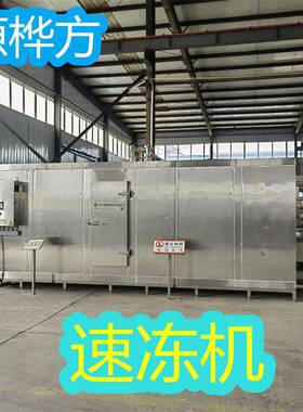 源头工厂500公斤板带速冻设备蔬菜丁单螺旋速冻机隧道速冻机