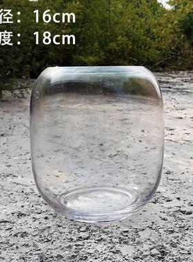 玻璃瓶生命树微景观苔藓植物花瓶