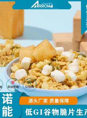 真诺智能 冲泡即食燕麦脆加工设备 双螺杆 早餐谷物玉米片生产线