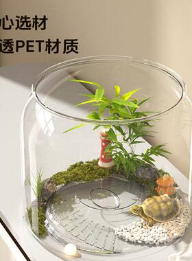 精致小鱼缸乌龟饲养缸家用客厅小型养乌龟专用箱生态造景晒爬台桌