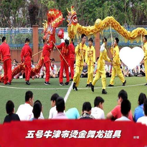 5号中小学生儿童舞龙舞狮道具绸缎布龙舞龙灯服装龙头9节钢丝圈龙 - 图2