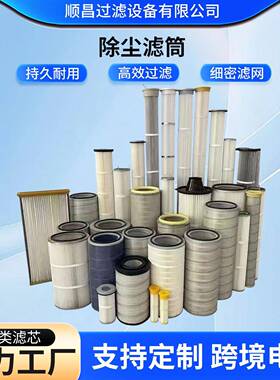厂家现货除尘滤筒工业除尘设备空气除尘粉尘滤筒净化除尘滤芯