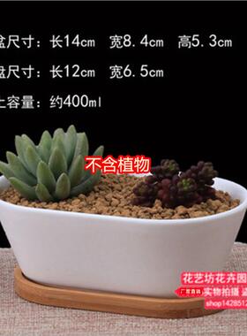 多肉花盆白色陶瓷盆简约长方形肉肉植物小花盆白瓷绿植花盆器