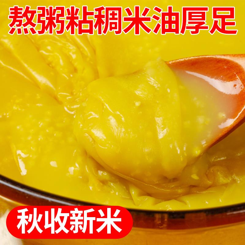 晋谷21号小米粥山西特产黄小米新米五谷杂粮新鲜小黄米粥食用糯小 - 图2