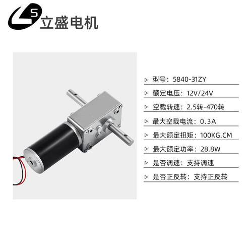 5840-31ZY微型直流减速电机涡轮蜗杆低速调速小马达12v24v双出轴 - 图0