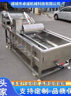 果蔬气泡清洗机西红柿红薯土豆全自动喷淋式气泡清洗机