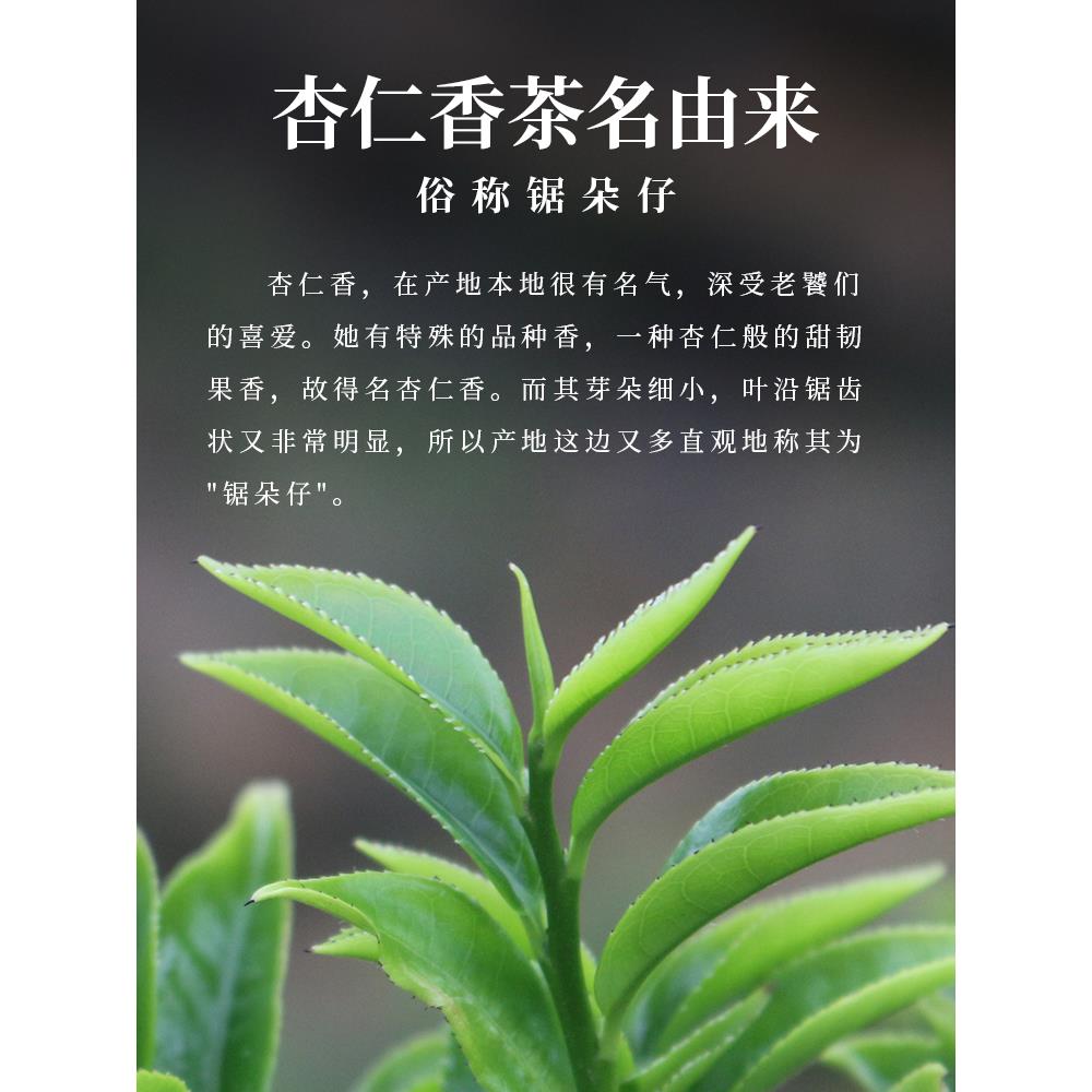 【迷你装】千元级杏仁香凤凰特级单枞茶锯朵仔 千米高山潮州茶叶 - 图1