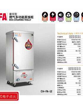 商用燃气蒸饭柜 6/10/12/24/48盘双门门液化气天然气蒸箱蜂窝式