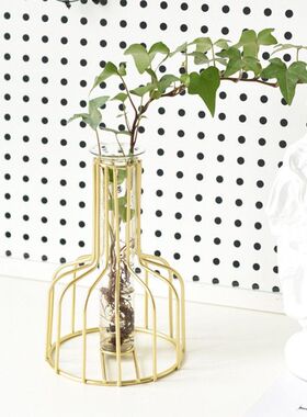 新款直销北欧风ins铁艺干花透明玻璃绿萝创意水培试管小花瓶客厅