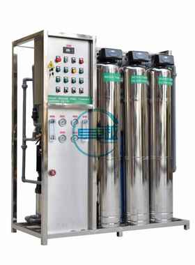 纯水设备反渗透纯水设备一体化双级反渗透纯水设备500L/H