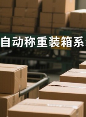 自动开箱装箱封箱机按需定制全自动码垛机器人称重装箱系统