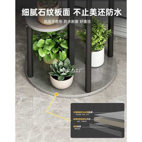轻奢花架子客厅落地式铁艺阳台花盆置物架室内电视柜旁植物摆放架 - 图2