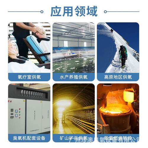 水产养殖60L增压制氧机40L高原供氧机弥散100L纯氧增氧机供氧设备 - 图1