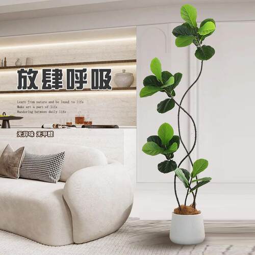 落Y1045件仿真绿植琴叶端榕高轻奢室内电视柜装饰地摆仿生植物盆 - 图0