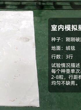 杂交稻点播机播MAGA-102种均匀水稻播机穴播式行距直株播距手动人