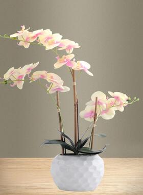 仿真富贵竹假花QKD1763-居客厅饰植家物假富贵装盆竹子可护眼室内