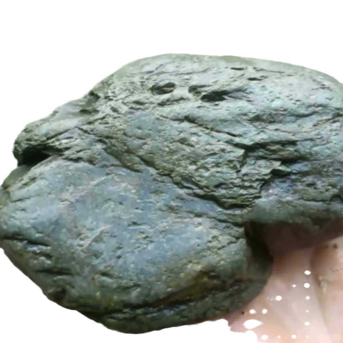 原生态溪流片岩DIY造景水陆缸鱼宠虾龟晒台养鱼缸古法沉木搭配等 - 图3