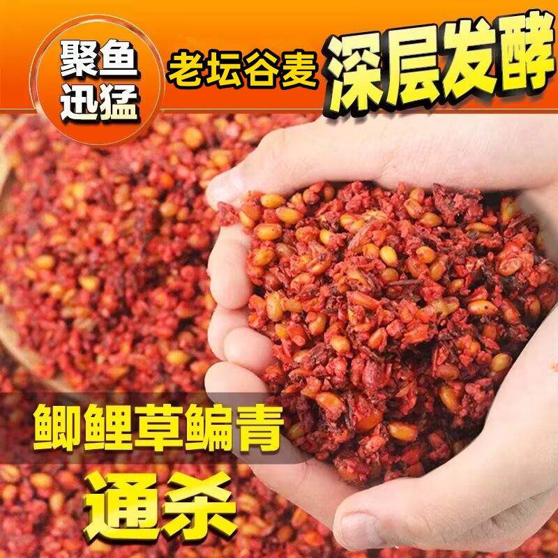 老坛谷麦酒米打窝料窝米颗粒草窝钓鲤鱼食饵料野钓鲫鱼发酵诱鱼,淘宝优惠券,粉丝福利购,淘宝优惠卷