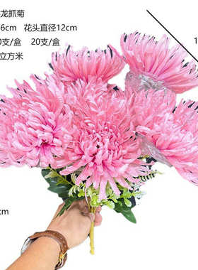 清明仿真菊花7头龙爪菊 仿真花菊花束 成品仿真花菊花大朵龙爪菊