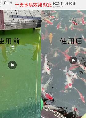 转鼓微滤机鱼池自动反冲洗循环鱼便分离过滤器水产养殖微滤机