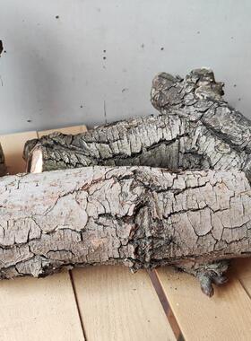 干 干树枝果木装饰微景造型树客厅树干天然原木干 干燥树枝屏风枯