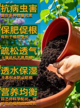 植物通用型营养土花卉种植土养花种菜腐殖泥炭土园艺盆栽椰糠土