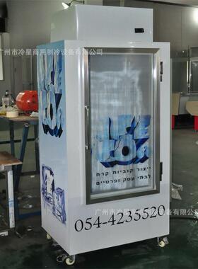 冰块储存冷柜冰棍直冷冷冻柜风冷冰箱110V60HZ方冰保温展示冷冻柜