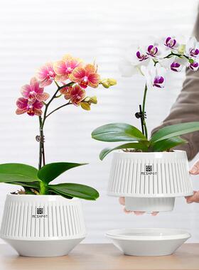 2025新美仕蝴蝶兰专用花盆透气控根套装花盆塑料石斛苔剪青山花盆