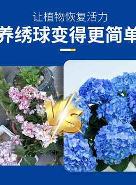 艾尚棵绣球调蓝剂土培园艺盆栽硫酸铝调酸专用调色无尽夏变蓝肥料