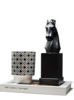 。现代样板间软装饰品客厅书架轻奢家居摆件挂画杯蜡相架组合ZH26