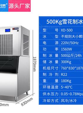 小型雪花制冰机100-500KG海鲜店实验室火锅店水产海鲜姿造制冰机