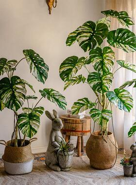 仿真绿植龟背竹阳台大型植物盆景客厅办公室室内落地假树装饰摆件