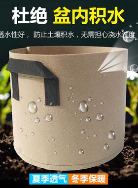 growbags亚马逊无纺布加厚花瓶