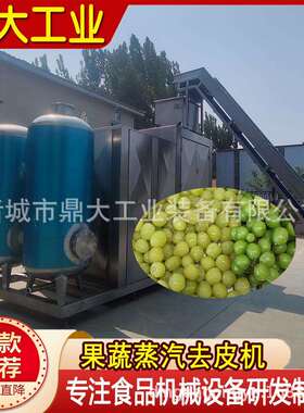 鼎大工业蒸汽去皮机果蔬多功能剥皮设备全自动黄桃葡萄蒸汽脱皮机