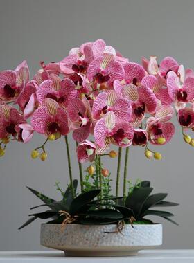 手感蝴蝶兰假花仿真花室内花艺摆设客厅轻奢高档假花盆景装饰摆件
