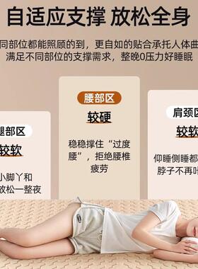 床垫软垫家用记忆棉海绵卧室床褥垫高密度榻榻米德国